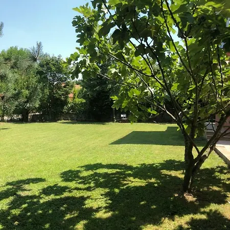 Ilmiye Daire Sapanca
